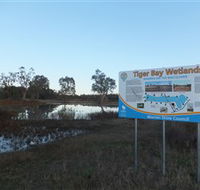 Tiger Bay Wetlands - ACT Tourism