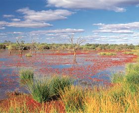 Adventure Way - ACT Tourism 3