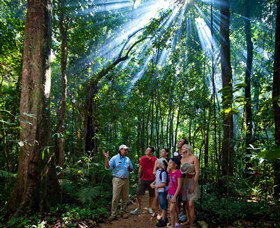 Mossman Gorge Centre - ACT Tourism 3