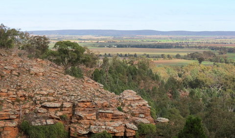 Jacks Creek Walking Track - ACT Tourism 0