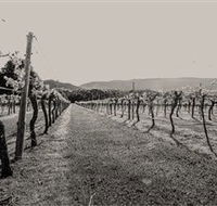 Halls Gap Estate - ACT Tourism