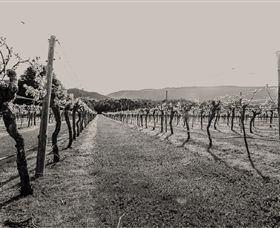 Halls Gap Estate - ACT Tourism 0