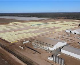 Southern Cotton Gin - ACT Tourism 0