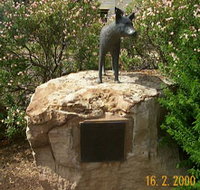 Dingo Statue - ACT Tourism