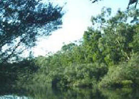 Crawford River Regional Park - ACT Tourism 0