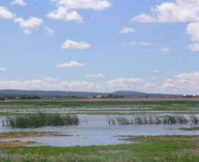 Fivebough Wetlands - ACT Tourism 0