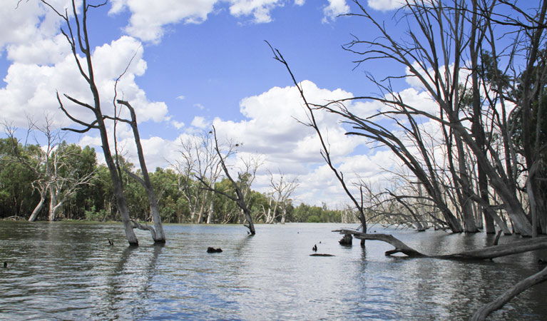 Euroley NSW ACT Tourism
