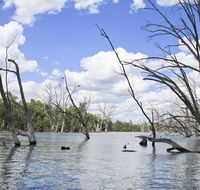 Murrumbidgee Valley National Park - ACT Tourism