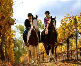 Billabong Ranch - ACT Tourism 0