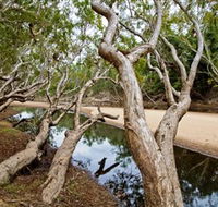 Oyala Thumotang National Park CYPAL - ACT Tourism