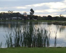 Luke Park - ACT Tourism 2
