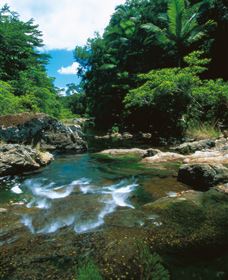Cedar Creek Falls - ACT Tourism 1