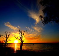 Lake Cowal - ACT Tourism