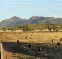 Emu Logic - ACT Tourism