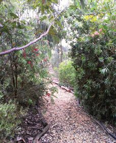 Timandra By The Sea - ACT Tourism 8