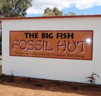 Big Fish Fossil Hut at Peak Hill - ACT Tourism