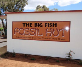Big Fish Fossil Hut At Peak Hill - ACT Tourism 0