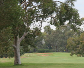 Tocumwal Golf Club - ACT Tourism 2