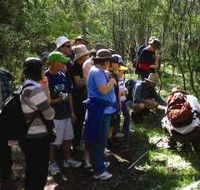 Warrumbungle National Park Discovery Program - ACT Tourism