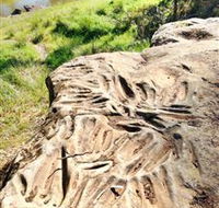 Terramungamine Rock Grooves - ACT Tourism