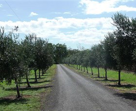 Seplin Estate Wines - ACT Tourism 3