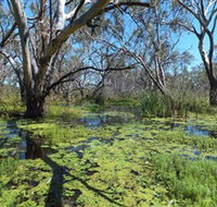 Macquarie Valley Trails - ACT Tourism