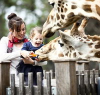 Taronga Western Plains Zoo Dubbo - ACT Tourism