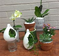 Cobram Florist - ACT Tourism
