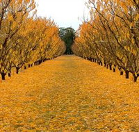 Sun Country on the Murray Farm Gate Trail - ACT Tourism