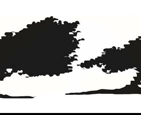 Ariah Park 1920s Heritage Village - ACT Tourism 3