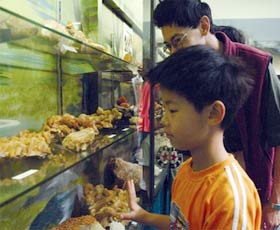 Crystal Kingdom - ACT Tourism 2