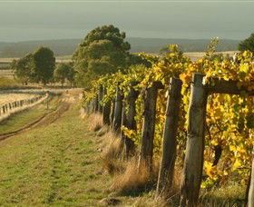 Captains Creek Organic Wines - ACT Tourism 0