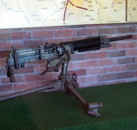 Woodpecker Gun - ACT Tourism