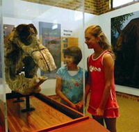 Australian Museum Diprotodon Exhibition - ACT Tourism
