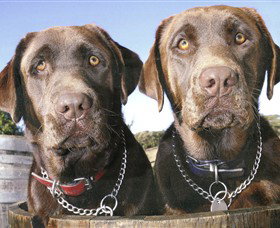 Ellender Estate - ACT Tourism 7