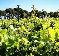 Basalt Wines - ACT Tourism