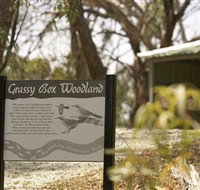 Kindra Forest - ACT Tourism