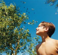 Bushwalking on Keswick Island - ACT Tourism