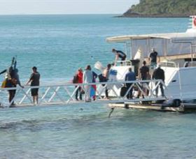 Scuba Diving On Keswick Island - ACT Tourism 0