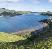 The Cremer Shipwreck Dive Site - Keswick Island - ACT Tourism