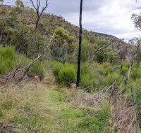 Lynchs loop trail - ACT Tourism