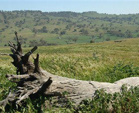 Self Drive Geology And Nature Trails - ACT Tourism 3