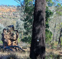 Eualdrie walking track - ACT Tourism