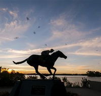 Black Caviar Statue - ACT Tourism