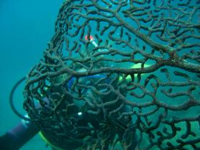 Fairey Reef - ACT Tourism 3