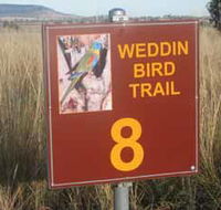 Weddin Bird Trails - ACT Tourism
