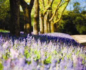 Duneira, Mt Macedon - ACT Tourism 4