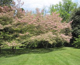 Duneira, Mt Macedon - ACT Tourism 7