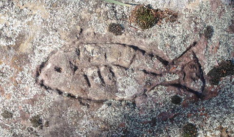 Terry Hie Hie Aboriginal Area - ACT Tourism 3