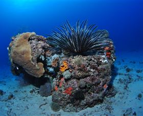 Challenger Bay Dive Site - ACT Tourism 1